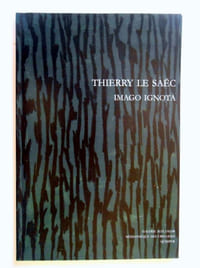THIERRY LE SAEC . IMAGO IGNOTA .