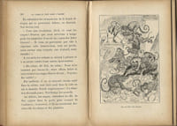 Voyages et aventures de la Famille Noé dans l'Arche. ( Premier tirage )