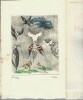 Rare ensemble de 2 livres : Histoire Naturelle + A Perte de Vue, livre de Jehan Mayoux en complément de l'Histoire naturelle de Benjamin Péret. ( ...