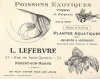 Carte publicitaire L.Lefebvre : Poissons éxotiques.. ( Aquariophilie - Pisciculture ) - Lefebvre L - Bender.