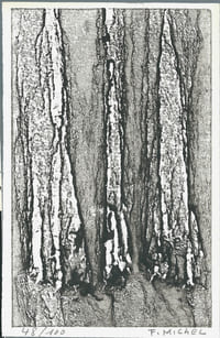 Journal de Prison 1959. ( Un des 100 exemplaires numérotés du tirage de tête sur pur fil, accompagnés de la gravure originale, numérotée et signée, de Fernand Michel ).