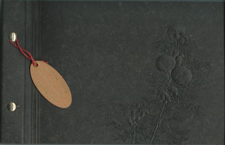 Une Année en Cartes Postales.. ( Cartes Postales ) - Paul Eluard.