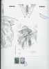 Wanted, tome 6 : Andale Rosita ( Avec magnifique dessin original de Thierry Girod + Bonus ).. ( Bandes Dessinées ) - Thierry Girod - Simon Rocca.