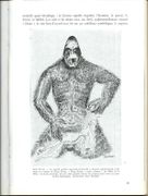 Image de livre