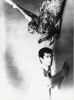 Psychose + superbe photographie en tirage argentique d'Anthony Perkins dans le rôle de Norman Bates, extraite du film Psychose ( Psycho ) de Alfred ...