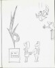 L'Amour de A à Trez. ( Avec dédicace et superbe petit dessin original signé de Alain Trez à l'écrivain Jacques Sternberg ).. ( Dessins Originaux - ...