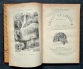 Voyages Extraordinaires. Un Billet de Loterie suivi de Frritt-Flac. ( Relié  ).. ( Cartonnages Polychrome ) - Jules Verne - Georges Roux.