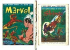 Les Super-Héros de Stan Lee : Marvel n° 7.. ( Bandes Dessinées en Petits Formats ) - Stan Lee - Roy Thomas - Jack Kirby - Steve Ditko - Don Heck - ...