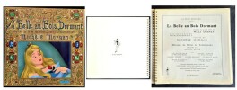 Disque 33 Tours : La Belle au Bois Dormant d'après le film de Walt Disney, raconté par Michèle Morgan. . ( Livre-Disque - Walt Disney Productions ) - ...