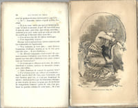 Les Peines de Coeur d'Adrien Fontenille.