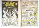 Zinc n&deg; 6, Journal de bandes dessin&eacute;es, tr&egrave;s beau, pas cher, de juin 1972.. ( Bandes Dessin&eacute;es " Underground " ) - Pierre Guitton - Christiane Lefranc ...
