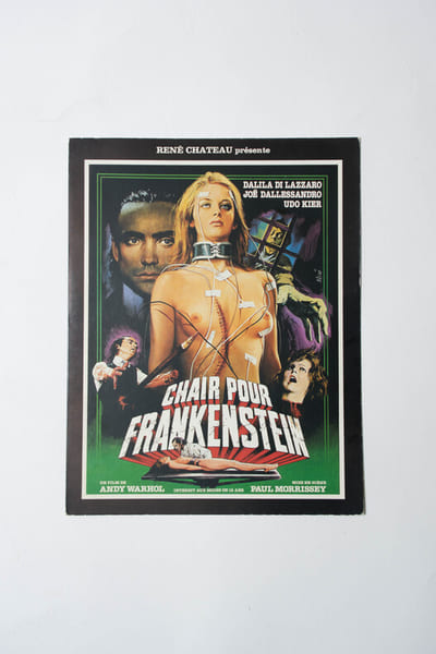 Rare synopsis original, d'exploitation en salles, pour le film " Chair pour Frankenstein ".. ( Cin&eacute;ma - Affiches - Horreur ) - Ren&eacute; Ch&acirc;teau - Andy ...