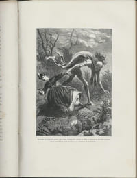 Contes Fantasques et Fantastiques.