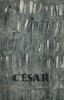 César. Oeuvres de 1955 à 1966. ( Avec dédicace de César Baldaccini dit César ).. ( Beaux-Arts ) - César Baldaccini dit César.