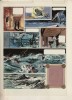 Larousse, Histoire des Provinces de France en BD - Planche originale à la gouache avec film noir illustré.. ( Bandes Dessinées ) - Pierre Watrin