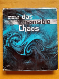 Das sensible Chaos: Strömendes Formenschaffen in Wasser und Luft