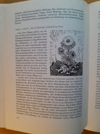 Heilpflanzenkunde. Der Mensch und die Heilpflanzen. Band I und Band II. Mit Pflanzenzeichnungen von Walther Roggenkamp. Hrsg. von der Medizinischen Sektion der Freien Hochschule für Geisteswissenschaft Goetheanum.