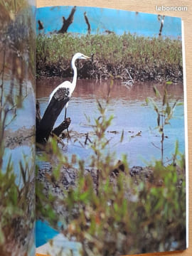 Casamance. Christian Saglio (texte) ; Catherine et Bernard Desjeux (photos)