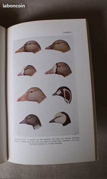 LES OISEAUX D'EAU DE BELGIQUE. LIPPENS, Léon