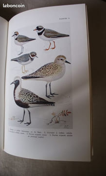 LES OISEAUX D'EAU DE BELGIQUE. LIPPENS, Léon