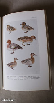 LES OISEAUX D'EAU DE BELGIQUE. LIPPENS, Léon