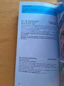 Champignons de Provence et des Alpes-du-Sud