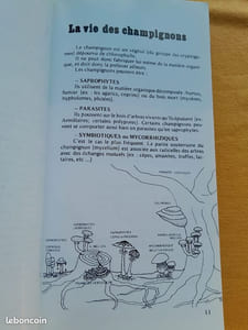 Champignons de Provence et des Alpes-du-Sud
