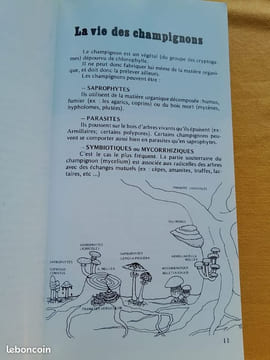 Champignons de Provence et des Alpes-du-Sud. BERETTI, Jean-Pierre