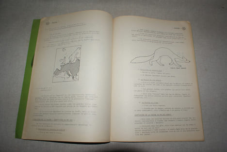 Dossier concerant la description, la vie, les moeurs et tous les arguments de protection en faveur des animaux actuellement classés "nuisibles". ...