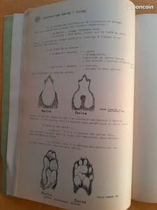 Dossier concerant la description, la vie, les moeurs et tous les arguments de protection en faveur des animaux actuellement classés "nuisibles". Belette, Hermine, Putois, Fouine, Martre, Blaireau, Chat sauvage, Renard