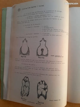 Dossier concerant la description, la vie, les moeurs et tous les arguments de protection en faveur des animaux actuellement classés "nuisibles". ...