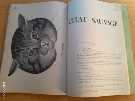 Dossier concerant la description, la vie, les moeurs et tous les arguments de protection en faveur des animaux actuellement classés "nuisibles". ...