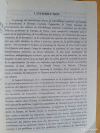 Gisements du paléolithique supérieur ancien entre le Dniestr et la Tissa