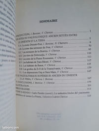 Gisements du paléolithique supérieur ancien entre le Dniestr et la Tissa