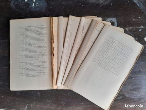 Les gisements algériens de phosphate de chaux. D. Dussert
