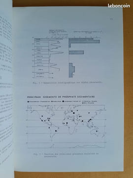 Géologie comparée des gisements de phosphates et de pétrole. Bureau de recherches géologiques et minières (BRGM), Elf-Aquitaine