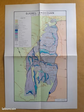Étude géologique de l'Atlas tunisien oriental. CASTANY, Gilbert