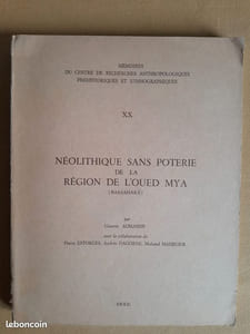 Néolithique sans poterie de la région de l'Oued Mya (Bas-Sahara).
