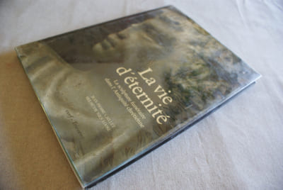 La vie d'éternité. La sculpture funéraire dans l'Antiquité chrétienne