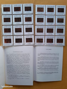 Lot de 5 plaquettes éducatives (CRDP) avec diapositives sur la Grande guerre (1914-1918)