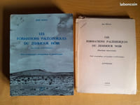 Les formations Paléozoïques du Zemmour Noir (Mauritanie septentrionale). Étude stratigraphique, pétrographique et paléontologique.