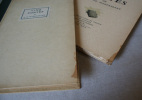 Cinq contes. MAUPASSANT, Guy de