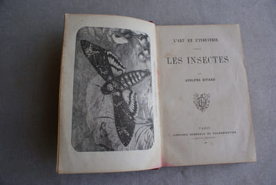 L'Art et l'industrie chez les insectes