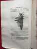 Les insectes, leurs m&eacute;tamorphoses, leur structure et leurs moeurs. - Dieu dans ses œuvres. PIOGER, L&eacute;ger Marie