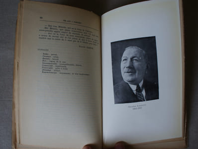 Dis aup i Pirenèu