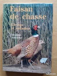 Faisan de chasse