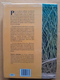 Faisan de chasse