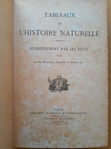 Tableaux de l'histoire naturelle. Enseignement par les yeux. D'après Cuvier, Blainville, Laurent de Jussieu, etc.