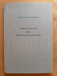 Grundlagen der Potenzforschung