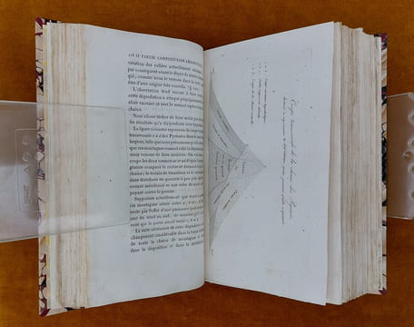 Essai Sur La Constitution Géognostique Des Pyrénées... Ouvrage couronné par l'Institut Royal de France. Avec une planche et une carte géognostique de ...